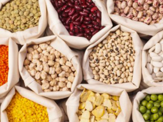 Ahlan Madeena For Foodstuff Trading