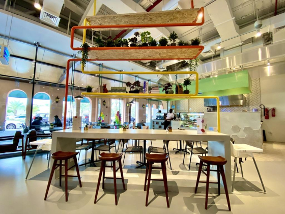 Adventure Parx + Cafe