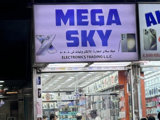 Mega Sky Electronics Trading