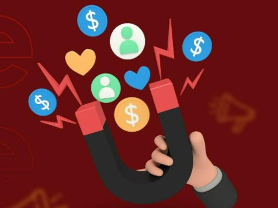 Pragmatic Reach Marketing Services
