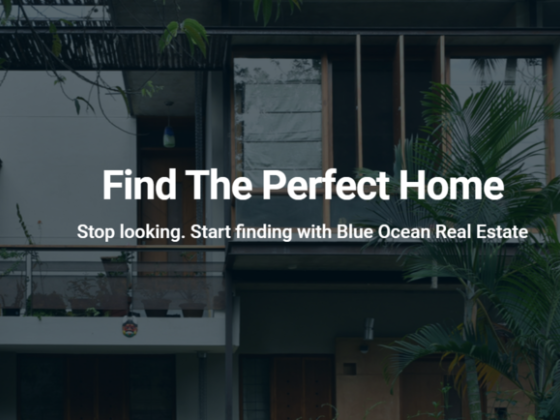 Blue Ocean Real Estate