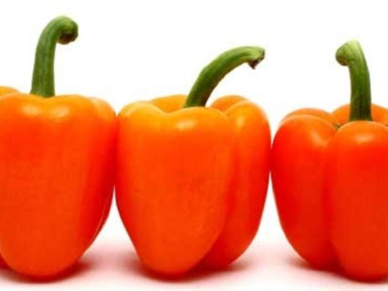 Alfirdous Vegetables And Foodstuff Trading