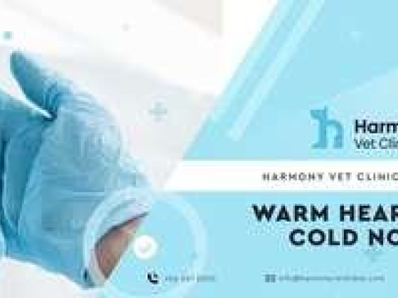 Harmony Vet Clinic