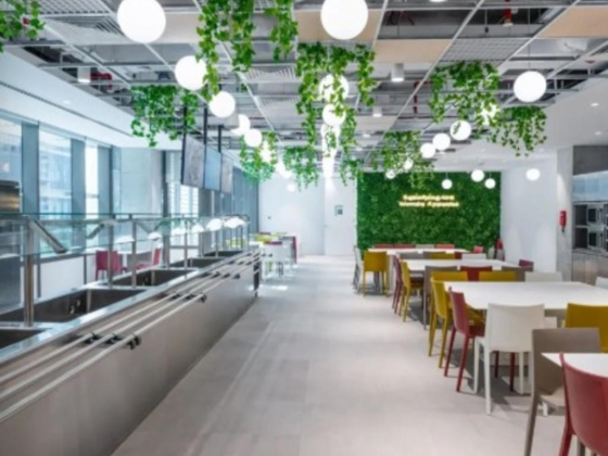 Red Chillies Interiors