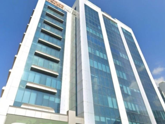 Nahed Rashad Auditing