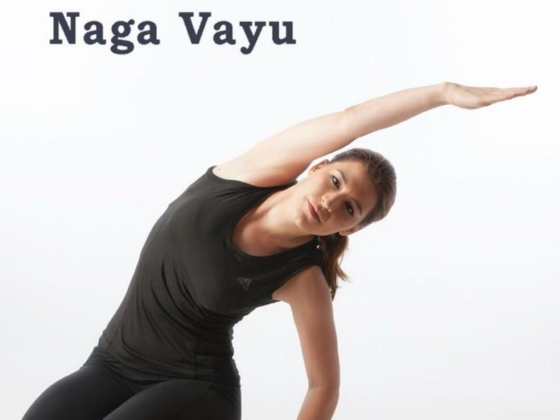 Bharat Thakur Artistic Yoga