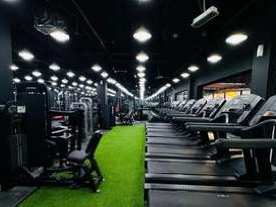Body Master Gym