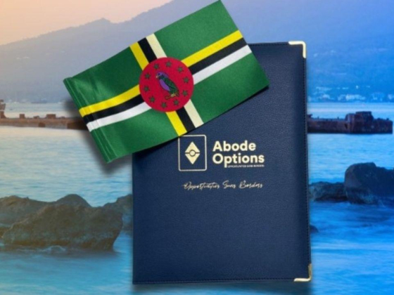 Abode Options Management Consultants