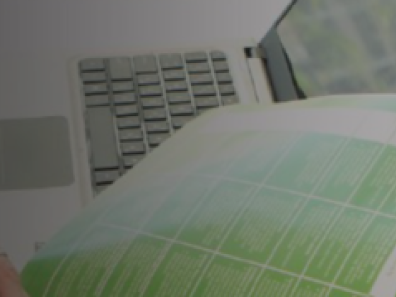 Pmk Project Management Services