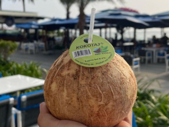 Kokotaj