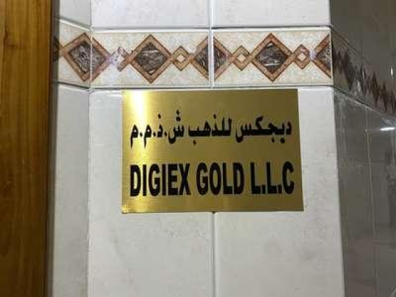 Digiex Gold