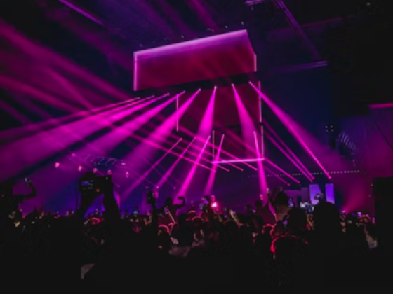 Amnesia  ​lounge