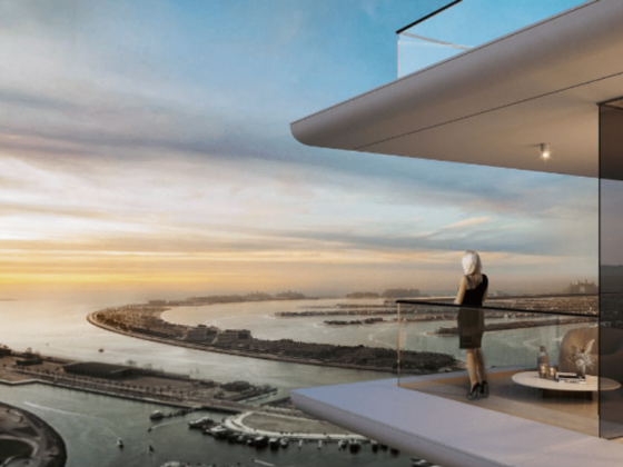 Sky Avenue Real Estate
