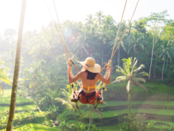 Pinoy Travels & Tourism DMCC