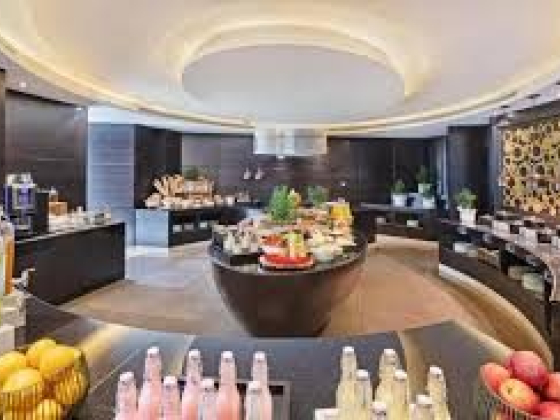 Radisson Blu Hotel, Dubai Canal View