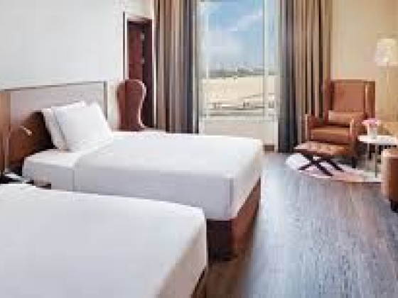 Radisson Blu Hotel, Dubai Canal View