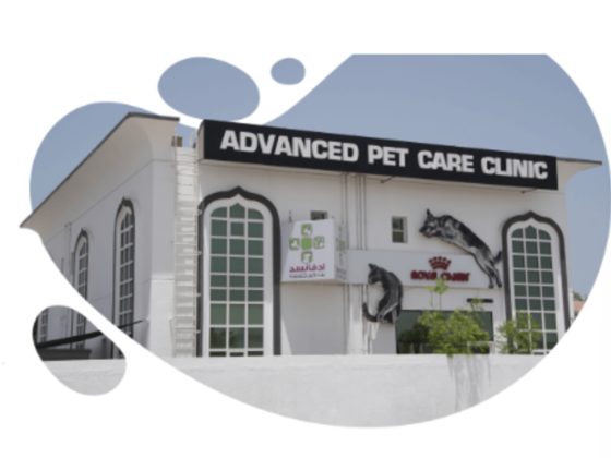 Advanced Veterinary Clinic