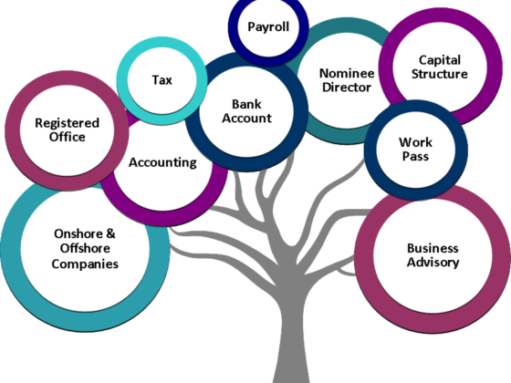 Lmkg Management Consultancy