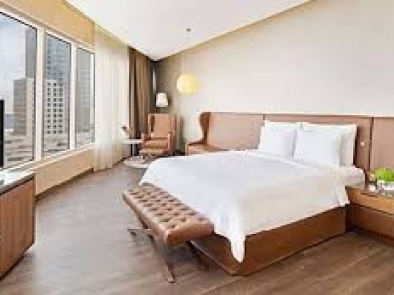 Radisson Blu Hotel, Dubai Canal View