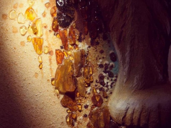 Amber Palm