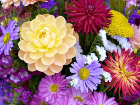 Marina Flowers