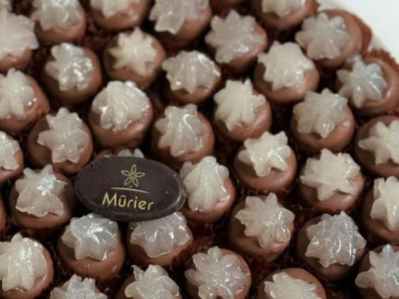 Murier Chocolate
