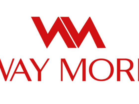 Way More Technical Services L.l.c
