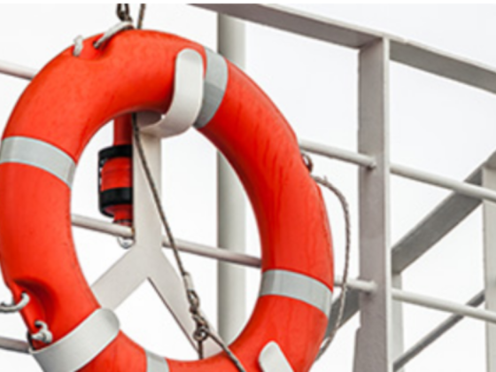 Digital Marine Systems Llc