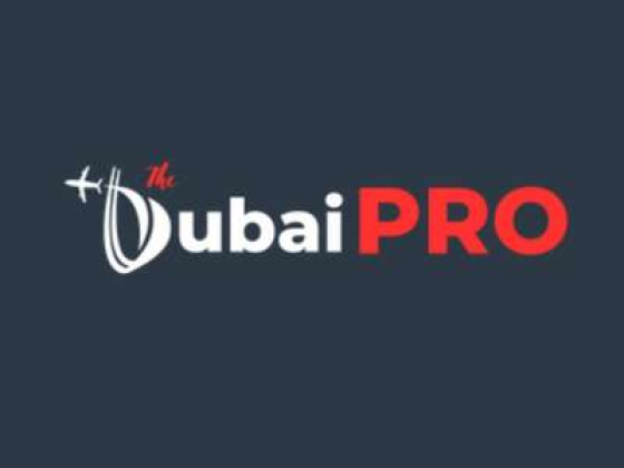 The Dubai Pro Services