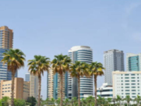D And R Home Properties