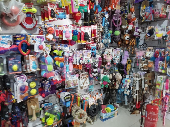 Animal Zone (branch)