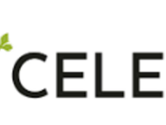 Socelery