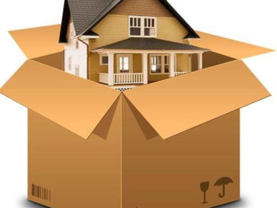 BrightLink Cargo and Movers LLC