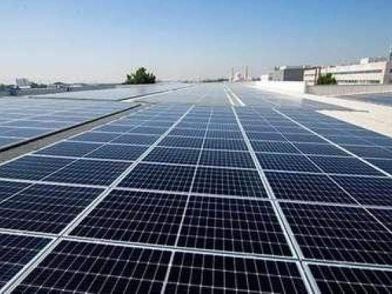 Emirates Electrical Engineering