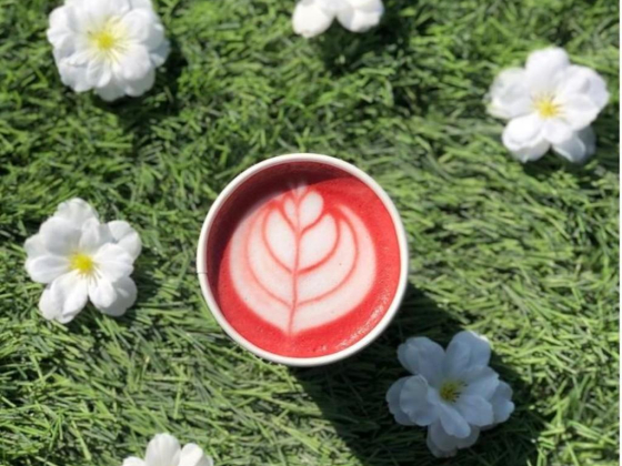 Via 50 Cafe