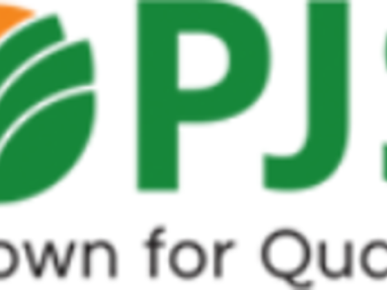 Pajson Trading