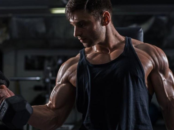 Optima ​Fitness