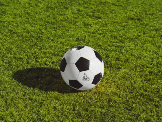 Arabian Ranches Football Field