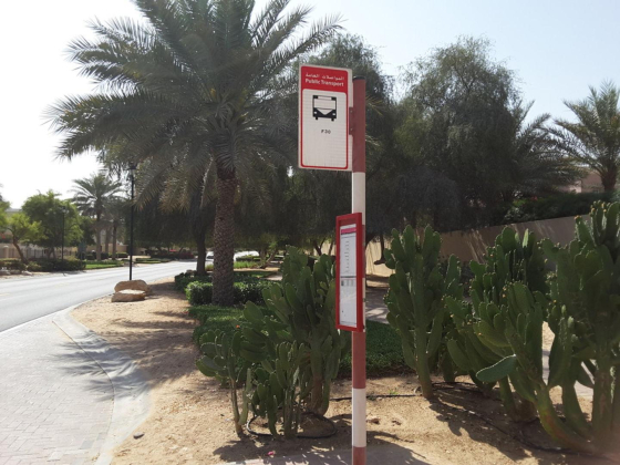Arabian Ranches, Al Reem 3