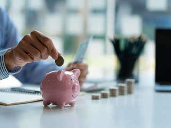 Al Sadoon Investment