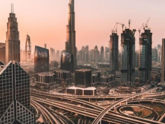 Perpetua Investment Group