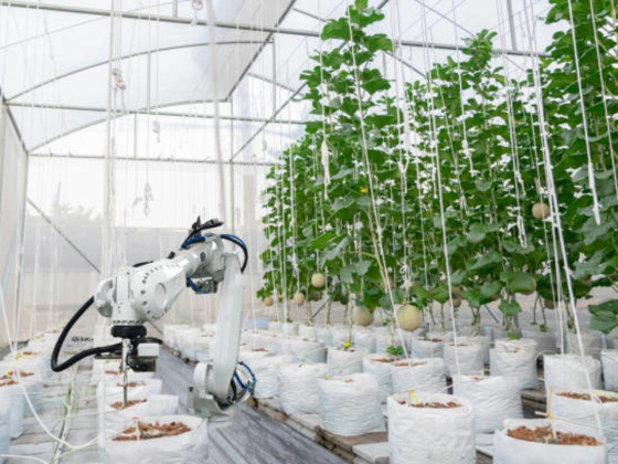 Skyfarm Agritech