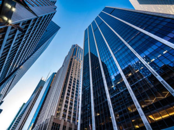 Distinction Real Estate L.l.c