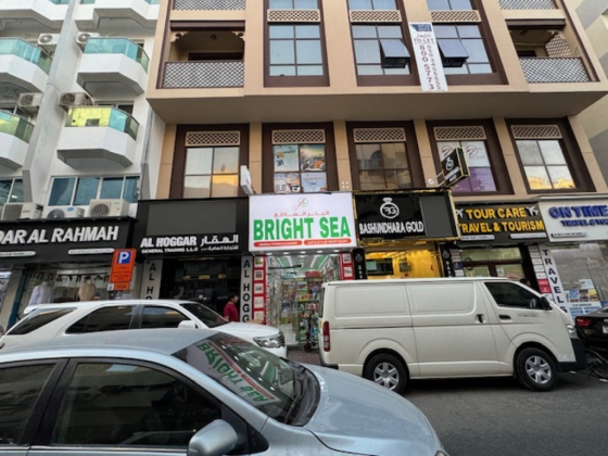 Bright Sea General Trading