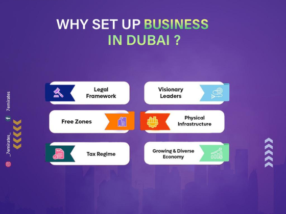 7 Emirates Documents Clearing Services