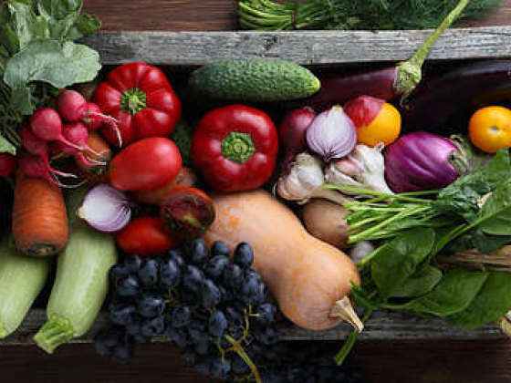Farmpack Foodstuff Trading