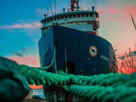 Synergy Marine Services