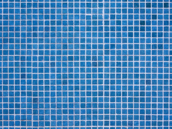 Plaza Middle East General Trading L.l.c (branch)