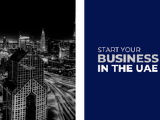 Decisive Zone Business Setup