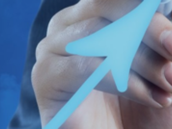 Level Up Consulting